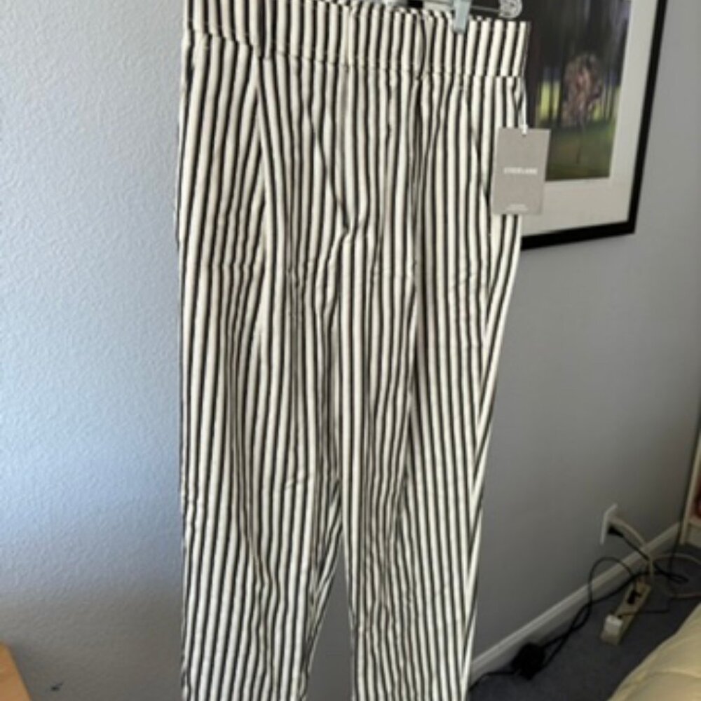 Everlane size 6 stripped trousers